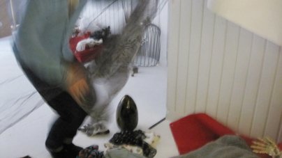 photography copyrigth begoña muñoz 2013 courtesy from the artist to laimuseum official website all rights reserved