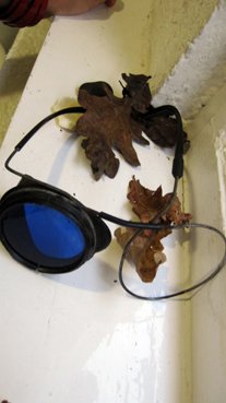 photography copyright begoña muñoz 2013 courtesy from the artist to laimuseum official website all rights reserved