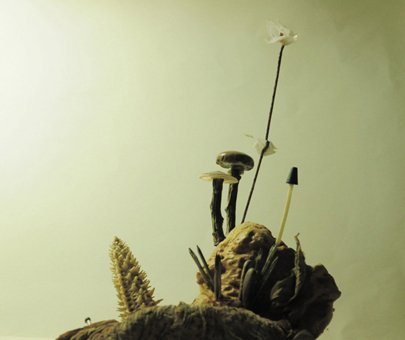 photography copyright sergio rodriguez gonzalez courtesy from the artist to laimuseum official website all rights reserved