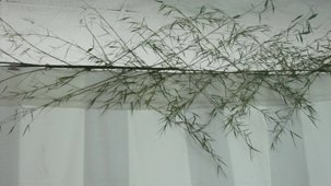 photography copyright begoña muñoz all rights reserved