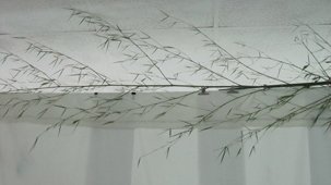 photography copyright begoña muñoz all rights reserved