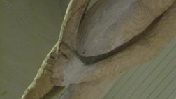 photography copyright begoña muñoz 2012 courtesy from the artist to laimuseum official website all rights reserved