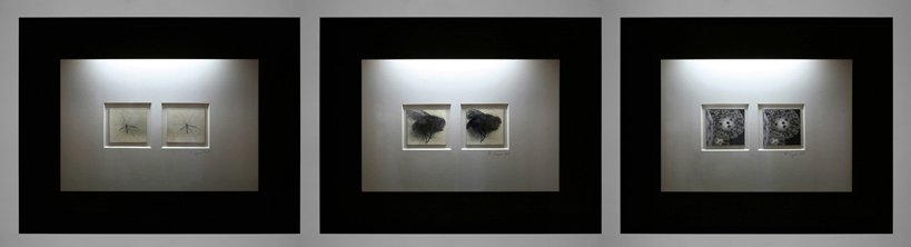 lai museum official website all rights reserved