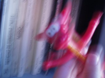 photography copyright bego&ntilde;a mu&ntilde;oz fernandez 2008 courtesy from the artist to lai museum all rights reserved