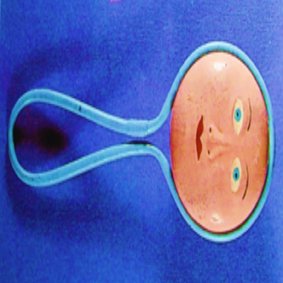 photography copyright bego&ntilde;a mu&ntilde;oz fernandez 2008 courtesy from the artist to lai museum all rights reserved