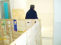 photography copyright bego&ntilde;a mu&ntilde;oz 2008 all rights reserved