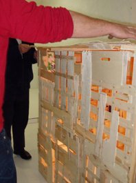 photography copyright bego&ntilde;a mu&ntilde;oz 2008 all rights reserved