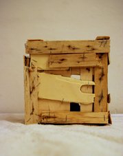 photography copyright monica cabo 2007 courtesy from the artist to lai museum all rights reserved