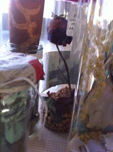 photography copyright maria jose gonzalez 2013 courtesy from the artist to laimuseum official website all rights reserveed