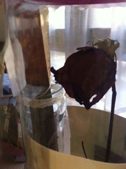 photography copyright maria jose gonzalez 2013 courtesy from the artis to laimuseum official website all rights reserved