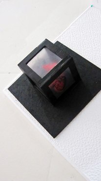 photography copyright begoña muñoz 2013 courtesy from the artist to laimuseum official website all rights reserved