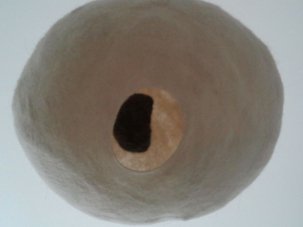 photography copyright begoña muñoz 2014 courtesy from the artist to laimuseum official website all rights reserved