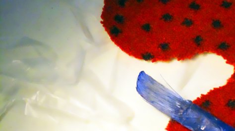 photography copyright begoña muñoz all rights reserved