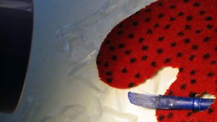 photography copyright begoña muñoz fernandez all rights reserved