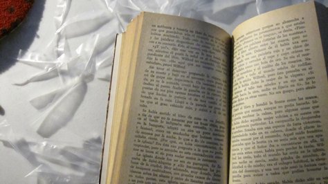 photography copyright begoña muñoz fernandez all rights reserved