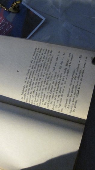 photography copyright begoña muñoz fernandez all rights reserved