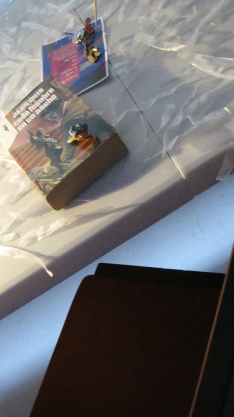 photography copyright begoña muñoz fernandez all rights reserved