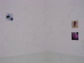 photography copyright begoña muñoz 2003 courtesy from the artist to lai museum all rights reserved