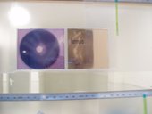 photography copyright begoña muñoz 2006 courtesy from the artist to lai museum all rights reserved