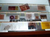 photography copyright begoña muñoz 2006 courtesy from the artist to lai museum all rights reserved