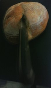 copyright begoña muñoz all rights reserved vegap