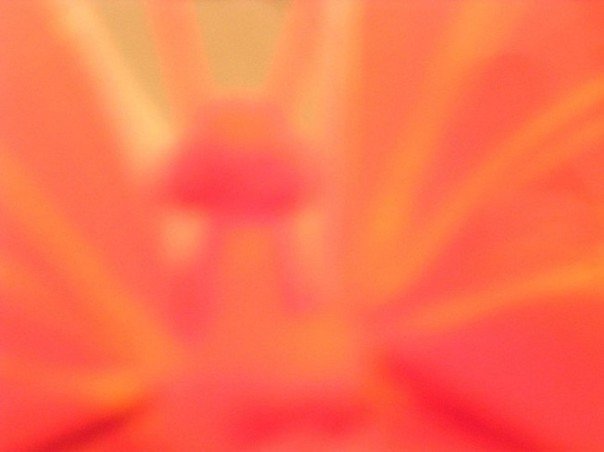 lai museum official website all rights reserved