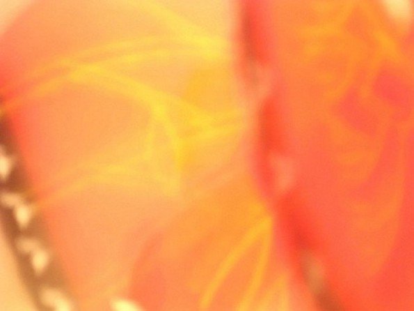 photograpy copyright alfredo colunga 2004 courtesy from the artist to lai museum all rights reserved