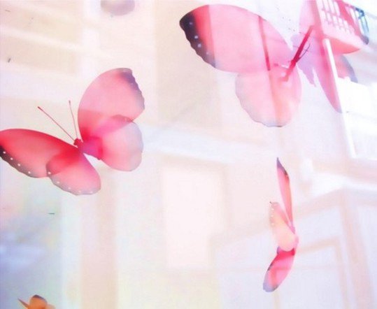 photography copyright bego&ntilde;a mu&ntilde;oz fernandez 2004 courtesy from the artist to lai museum all rights reserved