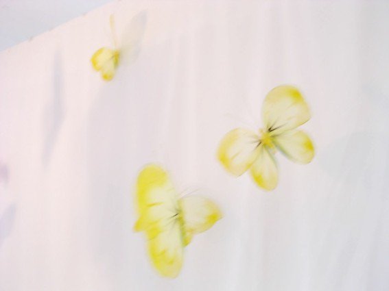 photography copyright bego&ntilde;a mu&ntilde;oz fernandez 2004 courtesy from the artist to lai museum all rights reserved