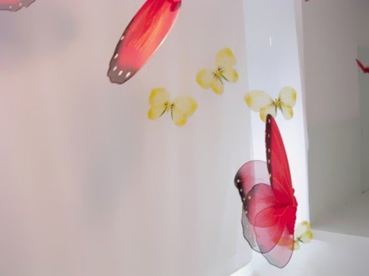 photography copyright bego&ntilde;a mu&ntilde;oz fernandez 2004 courtesy from the artist to lai museum all rights reserved