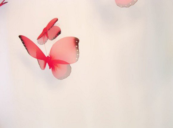 photography copyright bego&ntilde;a mu&ntilde;oz fernandez 2004 courtesy from the artist to lai museum all rights reserved