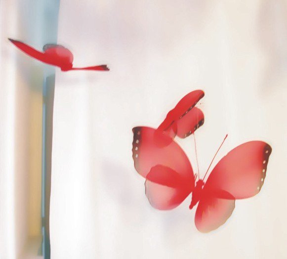 photography copyright bego&ntilde;a mu&ntilde;oz fernandez 2004 courtesy from the artist to lai museum all rights reserved