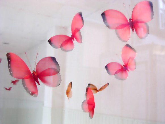 photography copyright bego&ntilde;a mu&ntilde;oz fernandez courtesy from the artist to lai museum all rights reserved