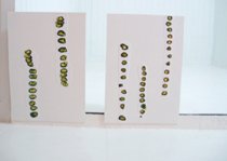 alquimia exposicion de pinturas de jorge izquierdo en salalai registro documental fotografia y dise�o bego�a mu�oz reservados todos los derechos all rights reserved