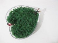 photography copyright bego&ntilde;a mu&ntilde;oz 2010 courtesy from the artist to lai museum all rights reserved