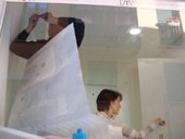 photography copyright bego&ntilde;a mu&ntilde;oz all rights reserved