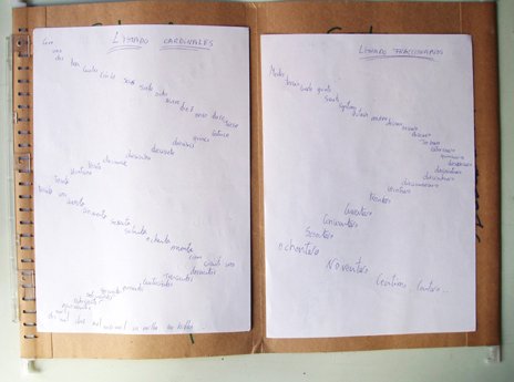 photography copyright bego&ntilde;a mu&ntilde;oz 2006 courtesy from the artist to lai museum all rights reserved