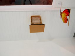 photography copyright bego&ntilde;a mu&ntilde;oz fernandez 2006 courtesy from the artisto to lai museum all rights reserved