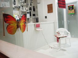 photography copyright bego&ntilde;a mu&ntilde;oz fernandez 2006 courtesy from the artisto to lai museum all rights reserved