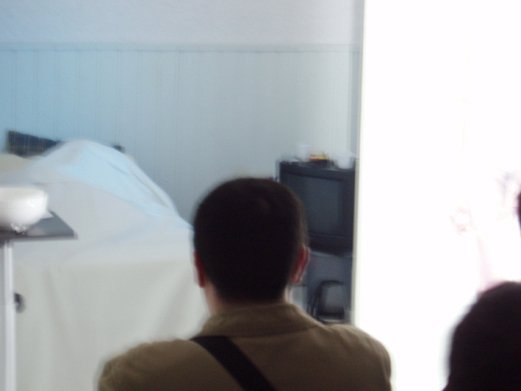 photography copyright bego&ntilde;a mu&ntilde;oz fernandez all rights reserved