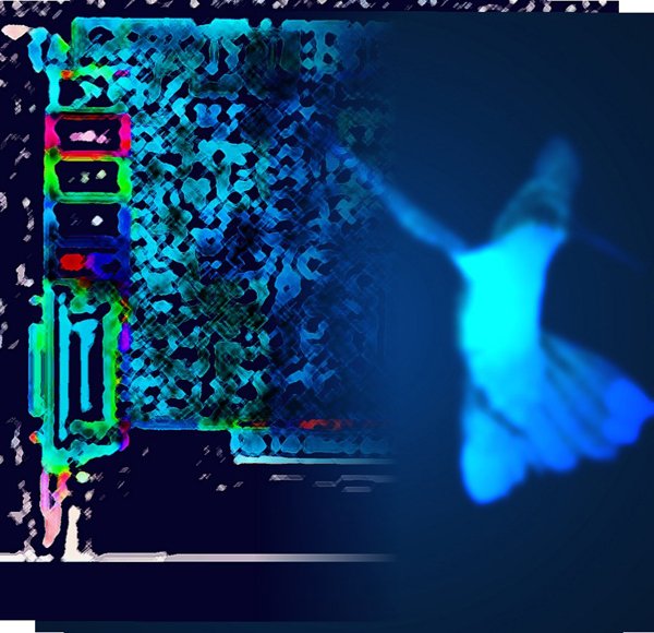 copyright begoña muñoz fernandez 2010 courtesy from the artist to lai museum all rights reserved