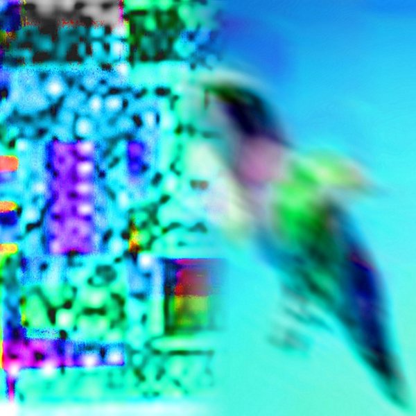 copyright begoña muñoz 2010 courtesy from the artist to lai museum all rights reserved