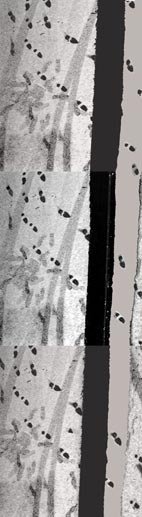 lai museum official website all rights reserved