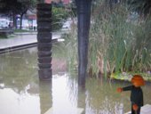 lai museum official website all rights reserved