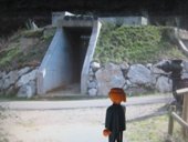 lai museum official website all rights reserved