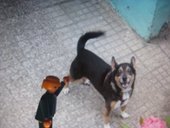 lai museum official website all rights reserved