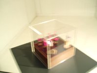 photography copyright bego&ntilde;a mu&ntilde;oz 2007 courtesy from the artist to laimuseum all rights reserved