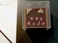 photo copyright bego&ntilde;a mu&ntilde;oz 2008 all rights reserved