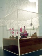 photo copyright bego&ntilde;a mu&ntilde;oz 2008 all rights reserved