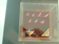 photography copyright bego&ntilde;a mu&ntilde;oz 2008 courtesy from the artist to laimuseum all rights reserved